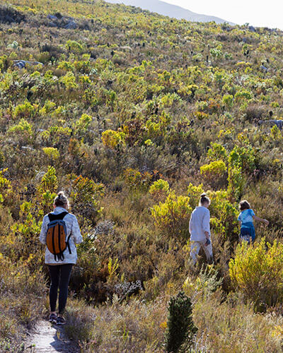 Faerie Glen Nature Reserve